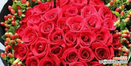 26朵玫瑰花的含义是什么？它通常用来表达什么情感？