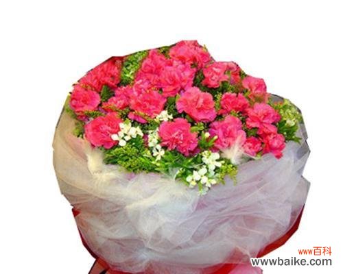 送花意义深远，每一朵都代表着情感 传递爱意的康乃馨