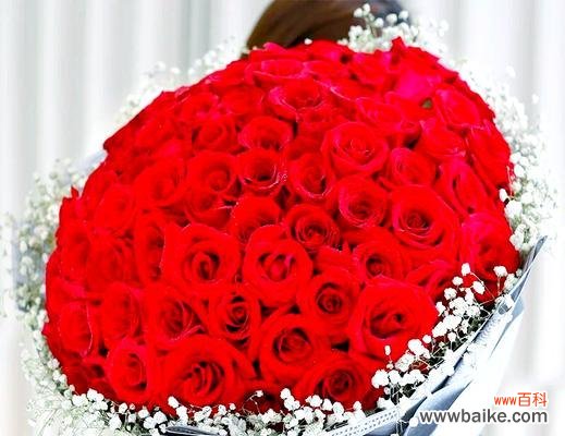 82朵玫瑰花的花语是什么？代表了什么情感？