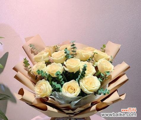 82朵玫瑰花的花语是什么？代表了什么情感？