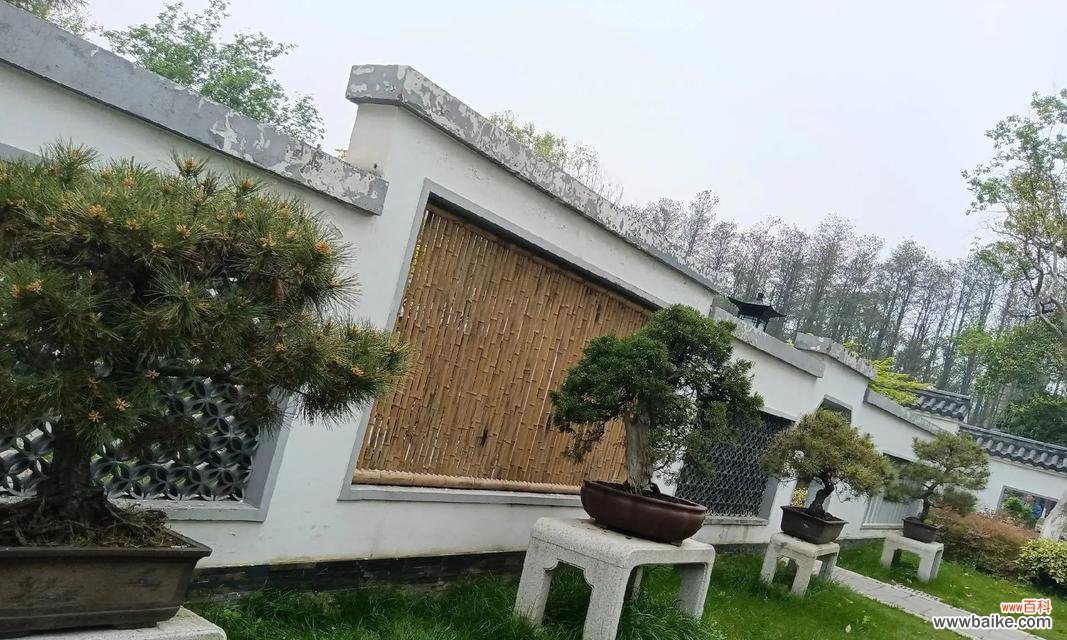 3268朵玫瑰花是什么意思啊英文单词？这个数字代表了什么？