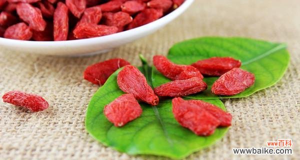 探秘枸杞花的寓意与传说 枸杞花语之美