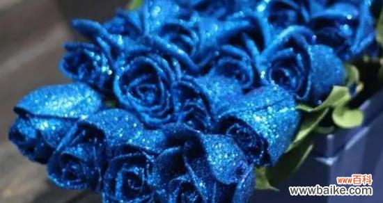 探究蓝色妖姬所代表的意义及其深层含义 解读蓝色妖姬的象征意义