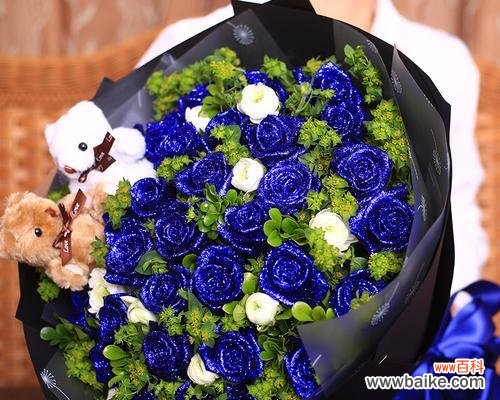 探究蓝色妖姬所代表的意义及其深层含义 解读蓝色妖姬的象征意义