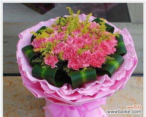 浪漫、美丽、爱情 粉色康乃馨的花语含义