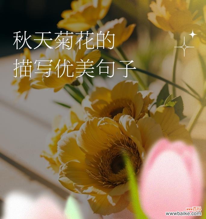 一年级下册如何用简短句子描述菊花?