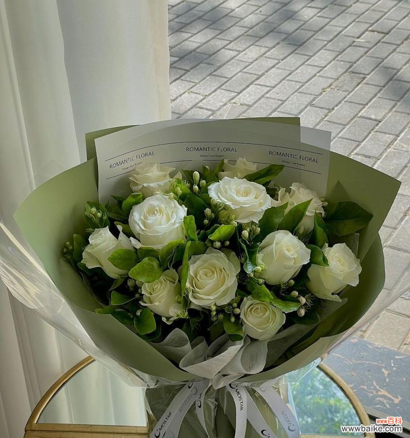 白玫瑰的含义是什么？送女朋友白玫瑰合适吗？