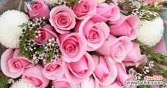 700朵玫瑰花代表什么含义？有没有相关的解释？