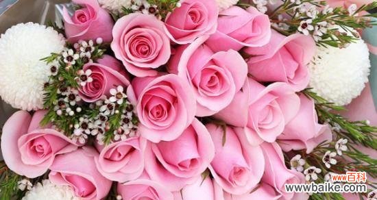 700朵玫瑰花代表什么含义？有没有相关的解释？