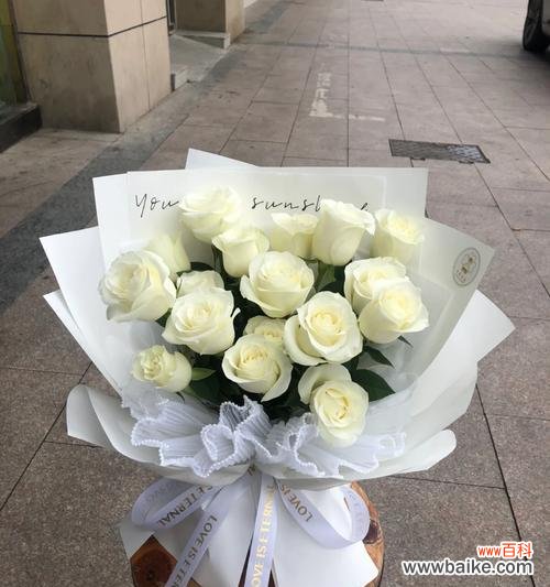 十九枝白玫瑰的含义是什么？读法是怎样的？