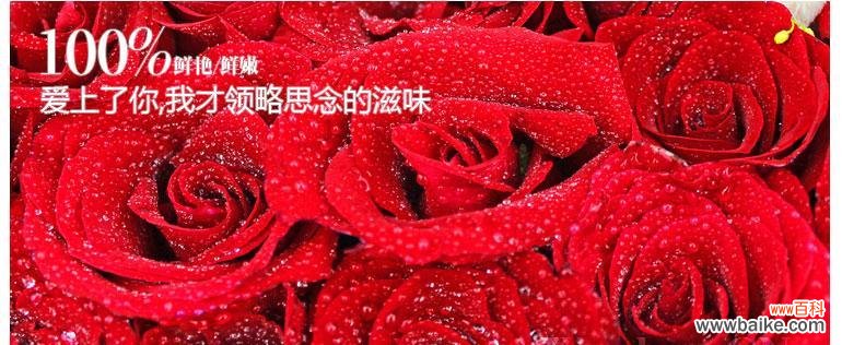 396朵玫瑰花代表什么数字？有什么特别含义吗？