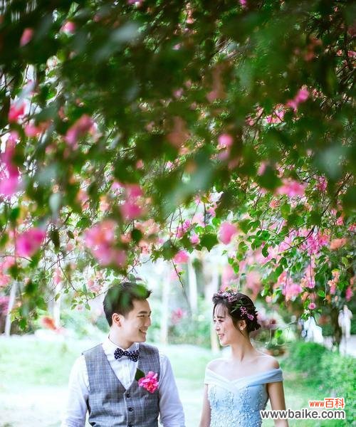 传递心意的花语语言 十大浪漫花语