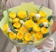 九支黄色玫瑰的寓意是什么？