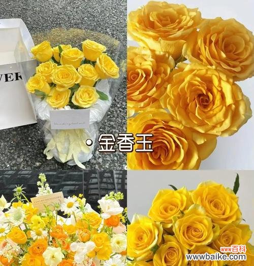 九支黄色玫瑰的寓意是什么？