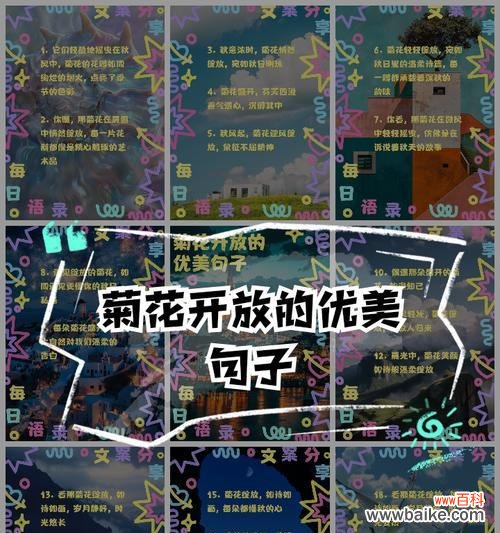 如何用50字简单开头写关于菊花的优美句子?