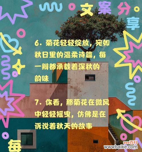 如何用50字简单开头写关于菊花的优美句子?