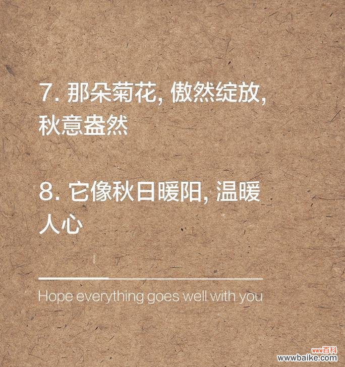 关于菊花的优美句子有哪些？50字大全图片如何展示？