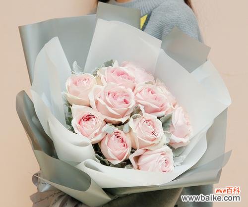 217朵玫瑰花代表什么含义？正确的读法是什么？