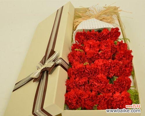 217朵玫瑰花代表什么含义？正确的读法是什么？