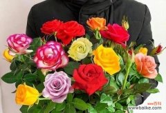 24朵玫瑰花代表什么意思？通过图片能了解其含义吗？