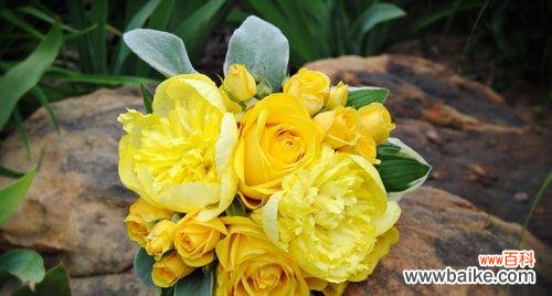 8朵黄色玫瑰代表什么？送黄色玫瑰有什么特别含义吗？