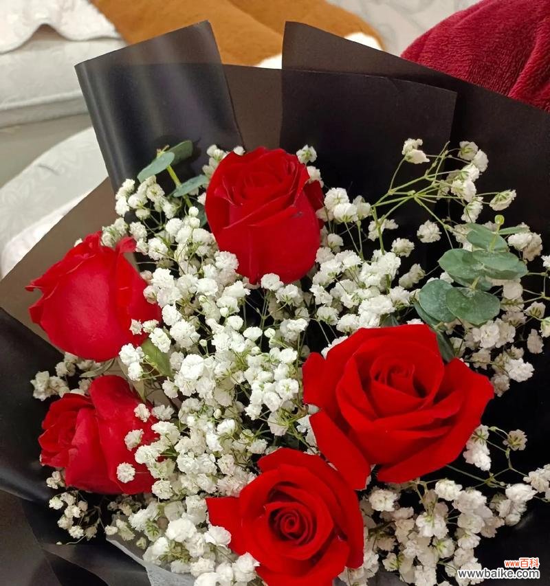 5朵玫瑰花的含义是什么？