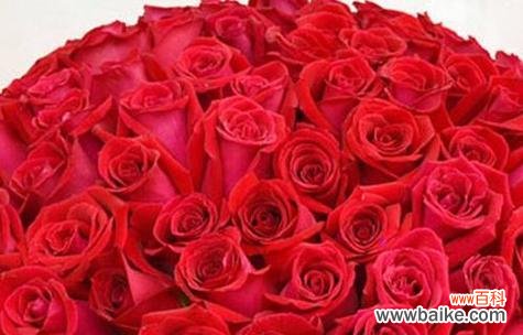 5朵玫瑰花的含义是什么？