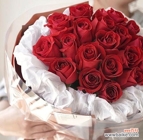 19朵玫瑰花束的寓意是什么？