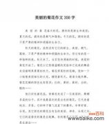 三年级下册如何描写菊花？