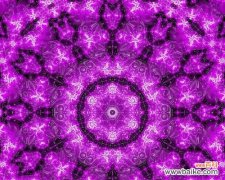 紫色曼陀罗的花语及寓意 紫色曼陀罗，花开寓言