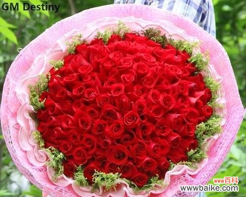 每个数字都有它独特的含义,31朵玫瑰是什么意思? 解析31朵玫瑰花的花语