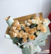 从颜色到含义，了解香槟色玫瑰所代表的情感 解读香槟色玫瑰的花语