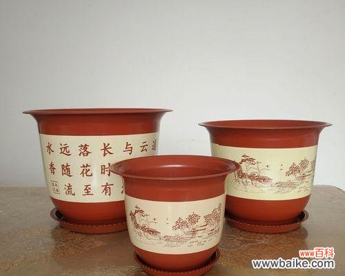 盆栽脱盘的口诀具体指什么？它有什么作用？