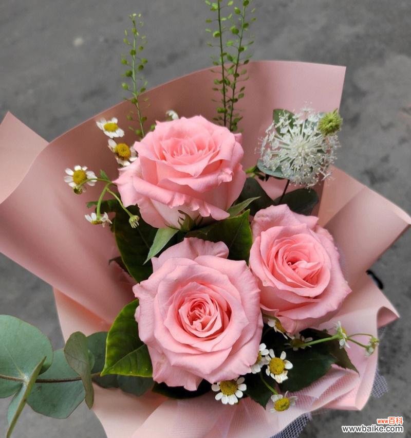 为什么说送玫瑰花是重要的？它代表了什么情感？