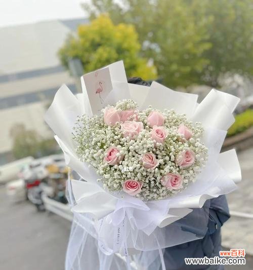 解读这束粉色玫瑰所代表的情感和心意 11朵粉色玫瑰的花语与意义