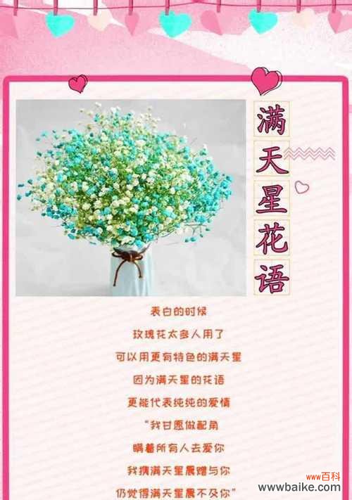 探究满天星花语的代表意义，传递浪漫与纯真的情感 满天星花语之浪漫与纯真