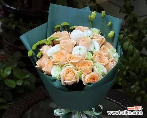 解析玫瑰花19朵的花语，揭示情感的真谛 玫瑰花19朵的花语