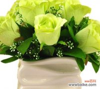 寓意深远、富有哲理 绿玫瑰的意义