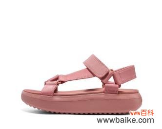 鞋上的玫瑰花标志代表什么?有什么特别含义?