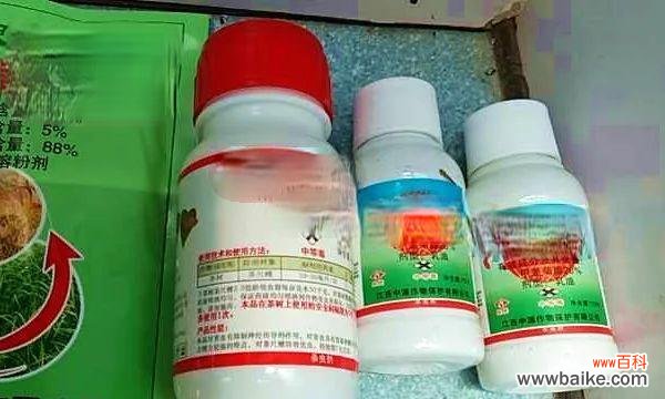 “塞农药”是什么意思？它通常用来表达什么情感？