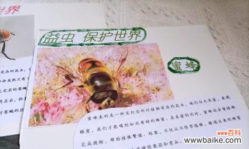 蚜虫的定义是什么？