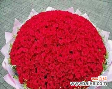 解读玫瑰花传递的情感信息 10朵玫瑰花的象征意义