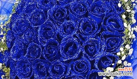 蓝色玫瑰花手工花语是什么？蓝色手工玫瑰的特别含义是什么？