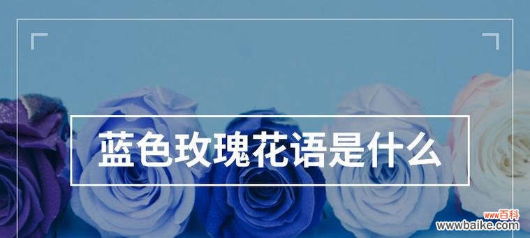 蓝色玫瑰花手工花语是什么？蓝色手工玫瑰的特别含义是什么？