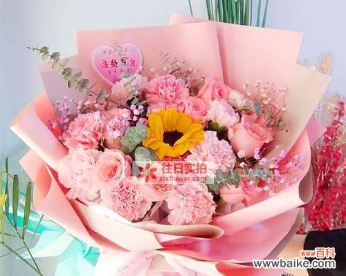 11朵康乃馨代表什么？送一个女孩玫瑰花代表什么？