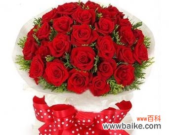 玫瑰花的花语有哪些?玫瑰花代表的含义是什么?