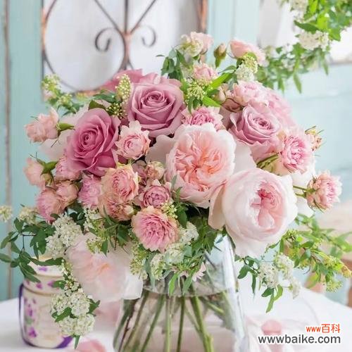 粉色玫瑰花的含义是什么？