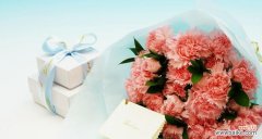 了解康乃馨的花语，传递真挚情感 送康乃馨花语解析