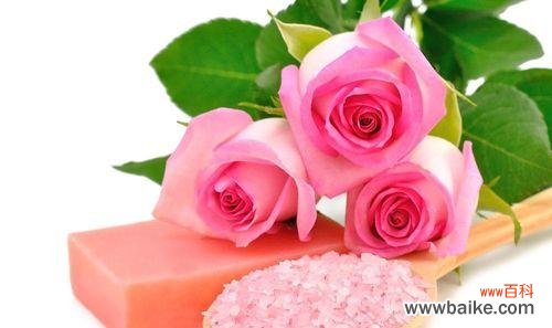 探寻粉色玫瑰花的传达意义 粉色玫瑰花的意义