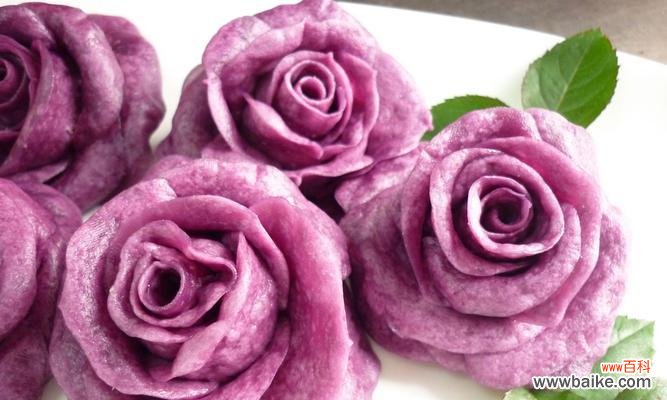 紫色代表的情感和特性 紫玫瑰的意义及象征